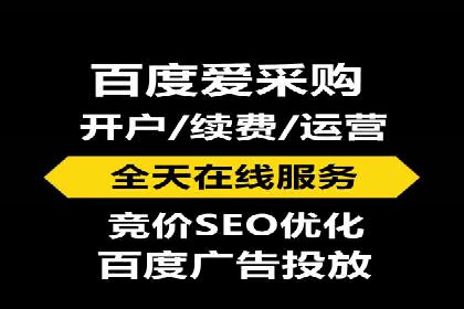 百度竞价价格解析，成功案例分享